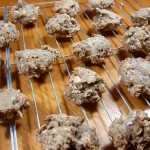 Blueberry Banana Treats