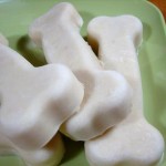 Yogurt Pops