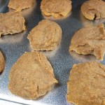 Pumkin Pie Pieces 