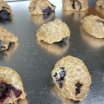 blue berry pie dog treats
