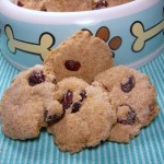 Cranberry Orange Treats Cranberry Orange Treats