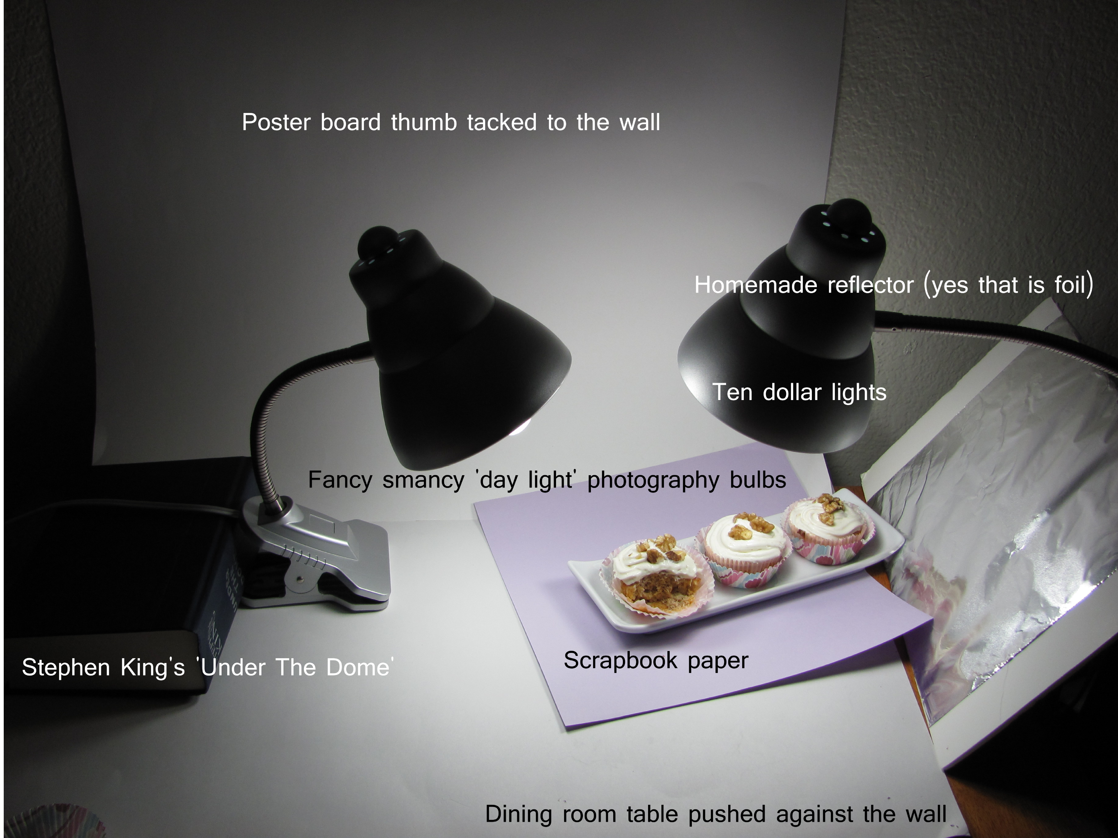 Photography Set Up DoggyDessertChef.com