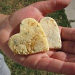 Wheat-Free Lemon Herb Chicken Dog Treat/Recipe