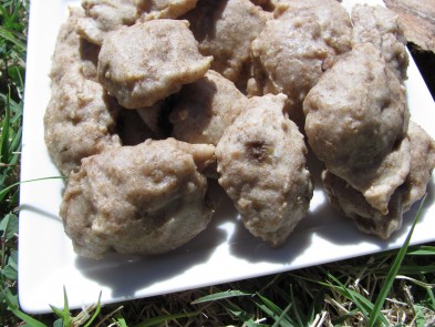 banana cream pie dog treat/biscuit recipe
