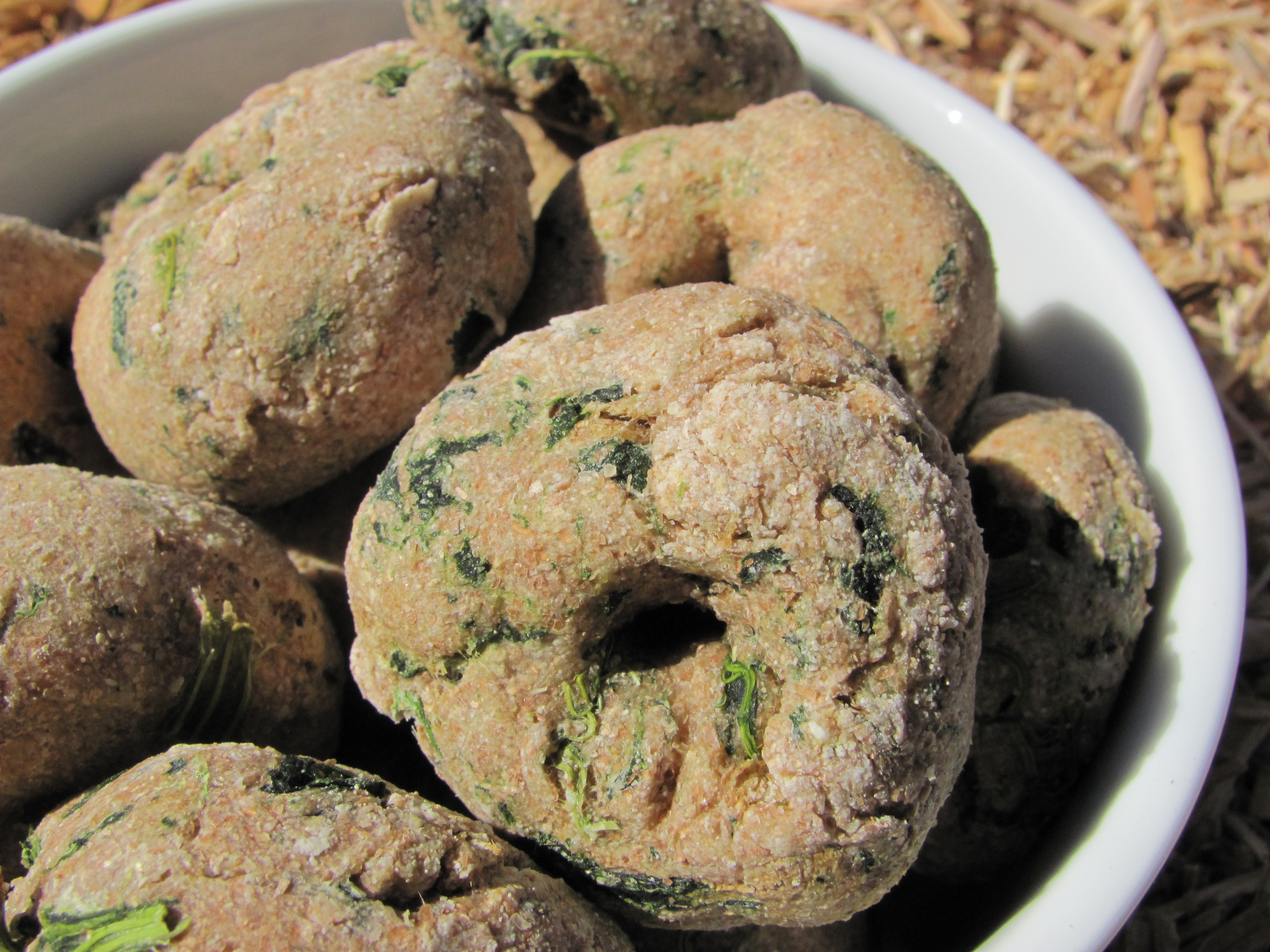 spinach bagels dog treat/biscuit recipe