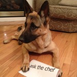 ask the doggy dessert chef
