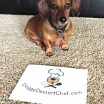Doggy Dessert Chef Doggy Dessert Chef