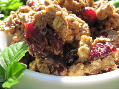 Oatmeal Craisin Dog Treat/Biscuit Recipe Oatmeal Craisin Dog Treat/Biscuit Recipe