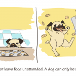 Things I've Learned: Never Leave Food Unattended