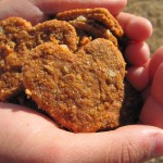 Meat Lovers Pizza Dog Treat/Biscuit Recipe Meat Lovers Pizza Dog Treat/Biscuit Recipe