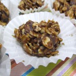 Peanut Butter Granola Dog Treat Recipe Peanut Butter Granola Dog Treat Recipe