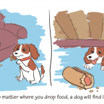 Things I've Learned Baking for My Dog: No matter where you drop food a dog will find it.