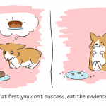 corgi_mess_up_copy