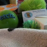 PawPal Goodies from Kirby the Dorkie