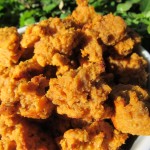 (Wheat-Free) Sweet Potato Turkey Dog Treat/Biscuit Recipe