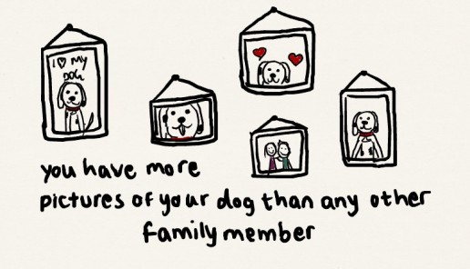 you might be a dog person if ..