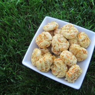 (gluten, wheat and dairy-free, vegan, vegetarian) ginger coconut carrot dog treat/biscuit recipe