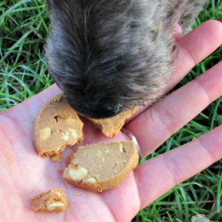 (wheat, gluten, dairy-free, vegan, vegetarian) double peanut, peanut butter dog treat/biscuit recipe