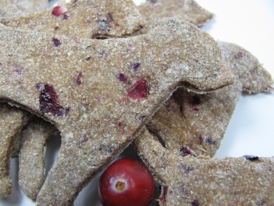 Apple Cranberry Dog Treat/Biscuit Recipe DoggyDessertChef.com