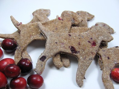Apple Cranberry Dog Treat/Biscuit Recipe DoggyDessertChef.com