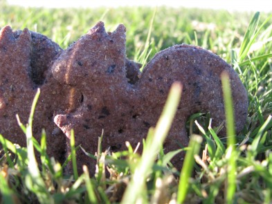 Blueberry Lavender Dog Treats DoggyDessertChef.com