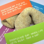 Fortune Cookie Dog Treat/Biscuit Recipe