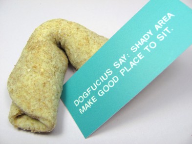 Fortune Cookie Dog Treat/Biscuit Recipe