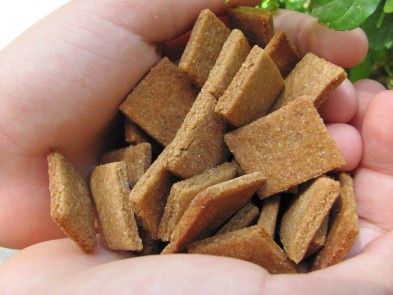 peanut butter molasses dog treat/biscuit recipe