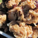 cranberry coconut dog treat biscuit/recipe