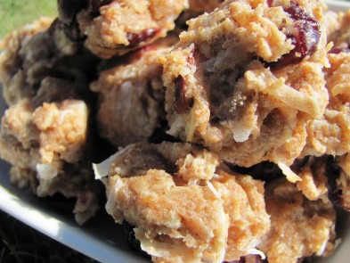 cranberry coconut dog treat biscuit/recipe