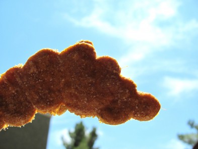 sweet potato molasses dog treat/biscuit recipe