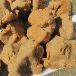 (wheat-free) double peanut dog treat/biscuit recipe