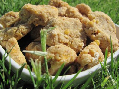 (wheat-free) oatmeal chedder dog treat/biscuit recipe