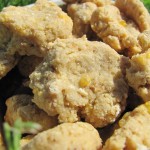 (wheat-free) oatmeal chedder dog treat/biscuit recipe