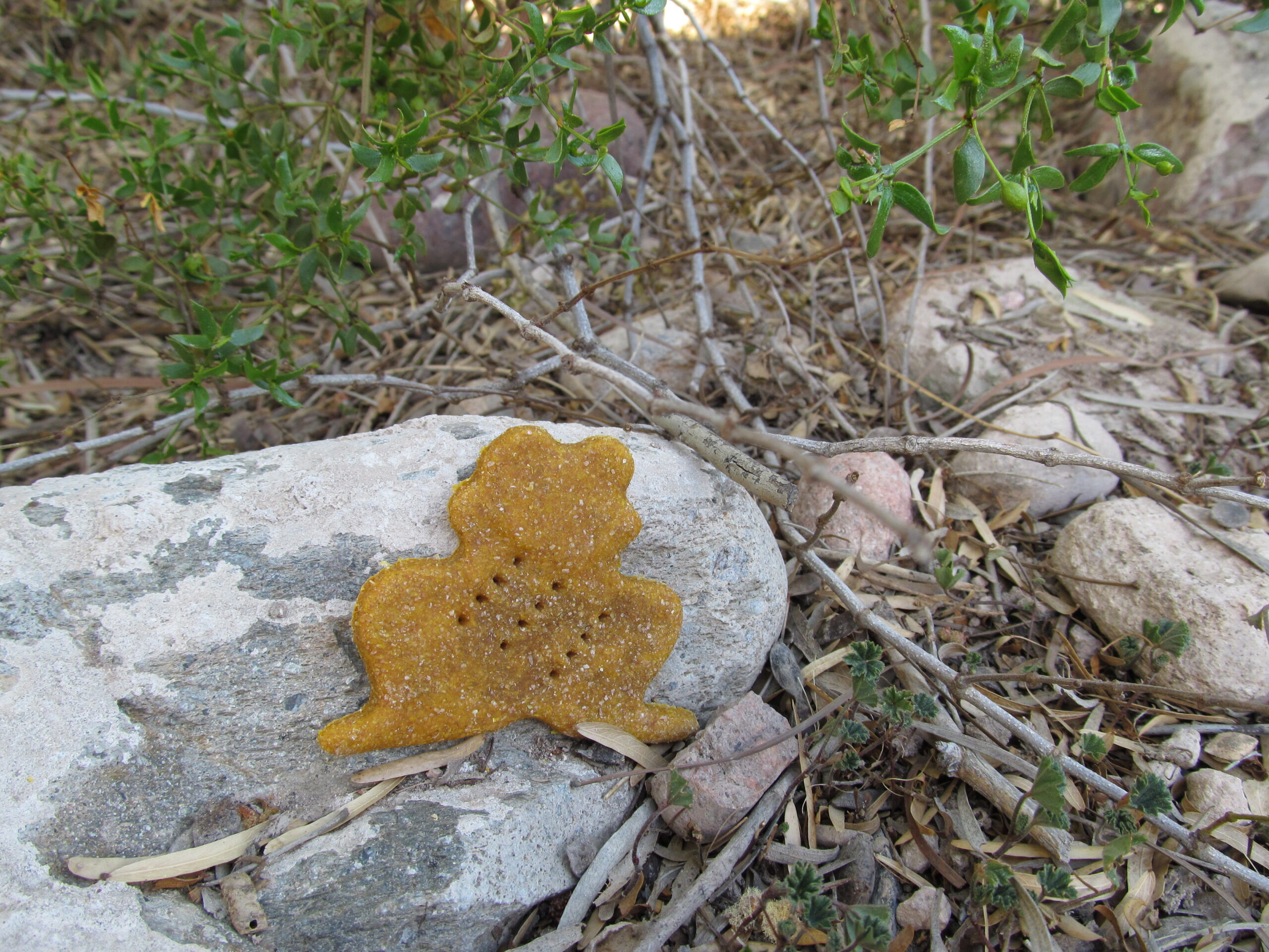 Cream Cheese Pumpkin Dog Treat/Biscuit Recipe