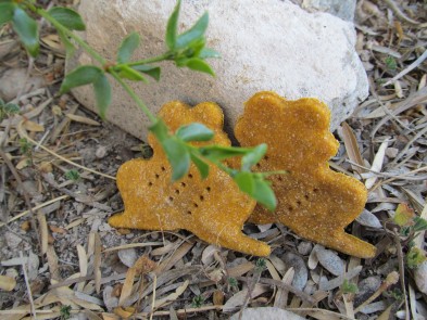 Cream Cheese Pumpkin Dog Treat/Biscuit Recipe