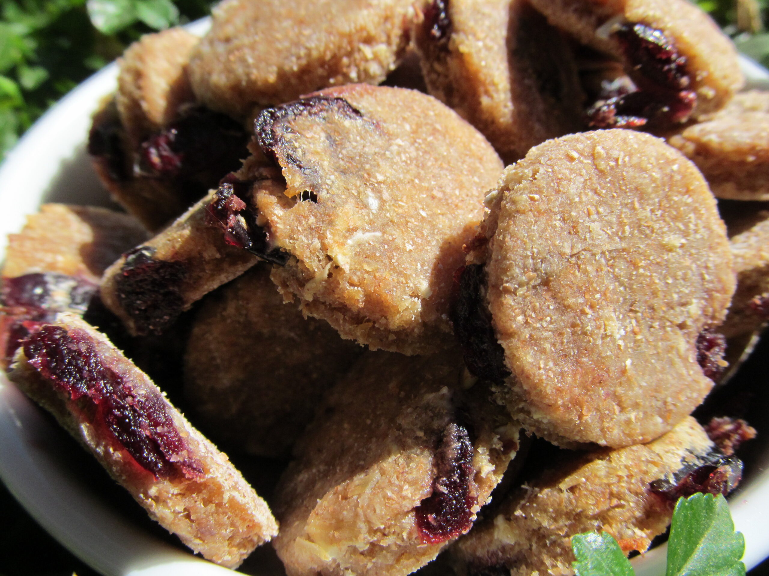 Cranberry Chicken Dog Treat/Biscuit Recipe