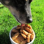 Honey Carrot Dog Treat/Biscuit Recipe