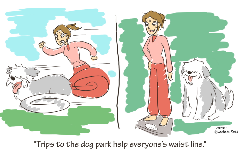 Things I've Learned: Dog Park 