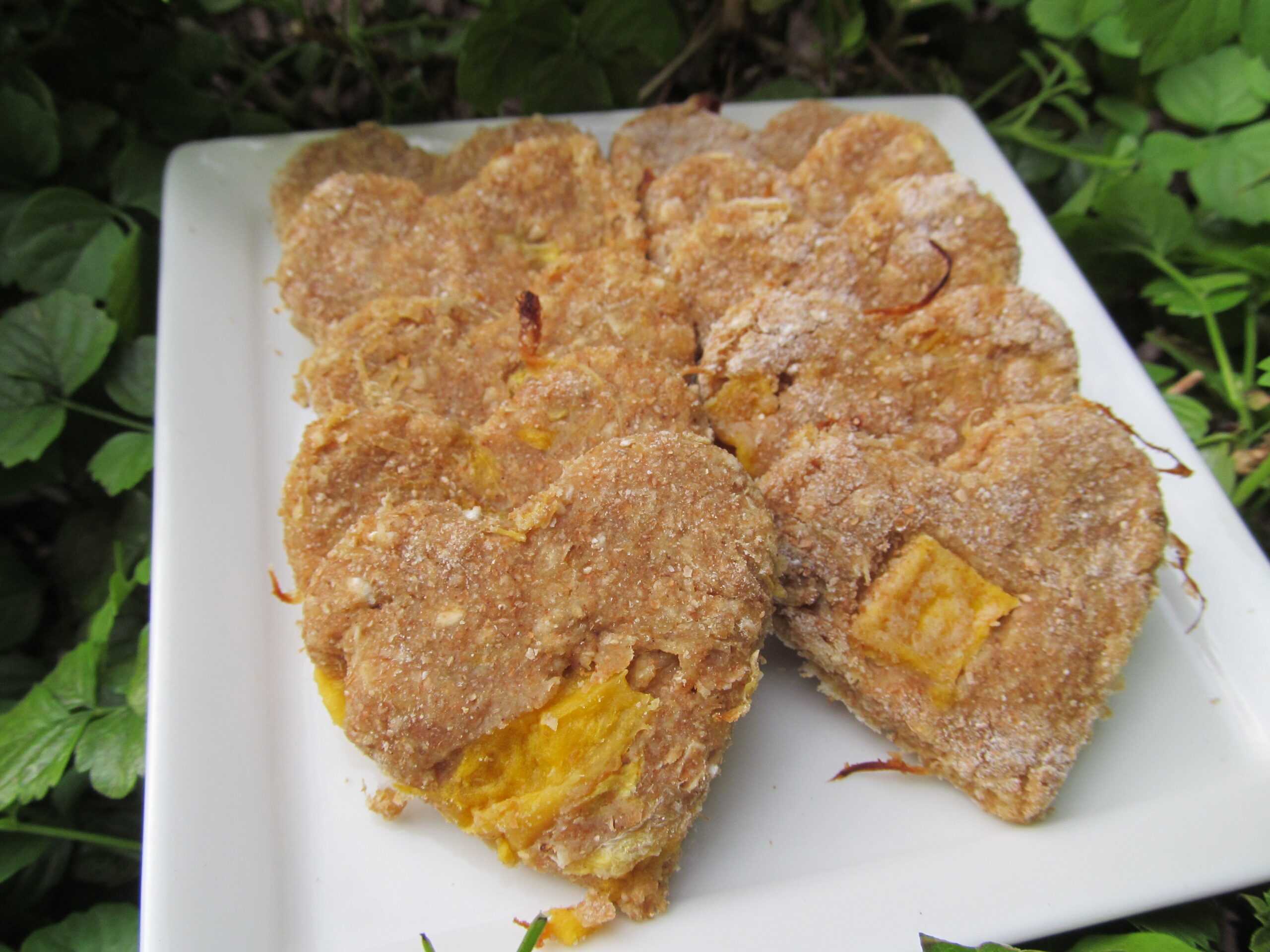 Mango Chicken Dog Treat/Biscuit Recipe