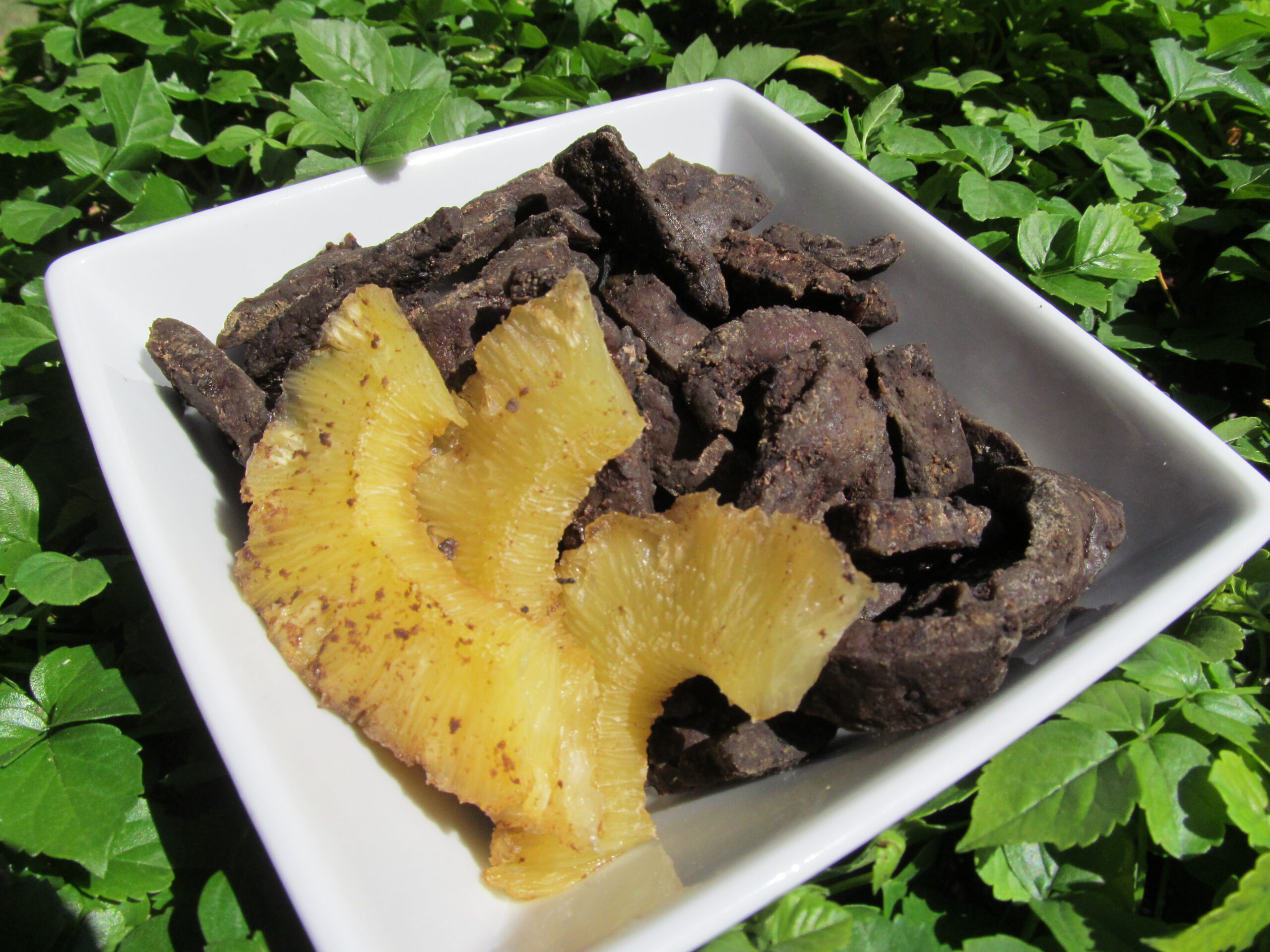 Hawaiian Liver Jerky Recipe Dog Treat