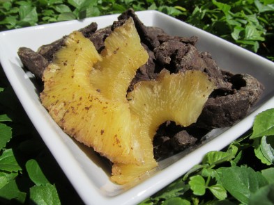 Hawaiian Liver Jerky Recipe Dog Treat