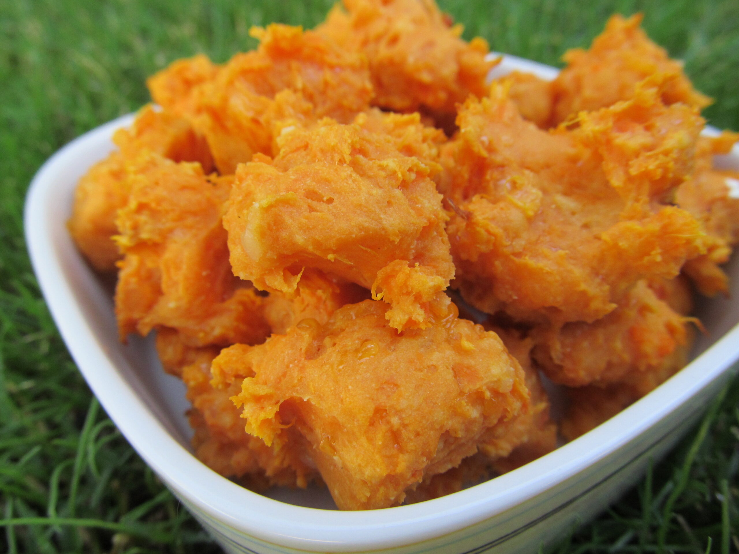 (Gluten-Free) Sweet Potato Cheese