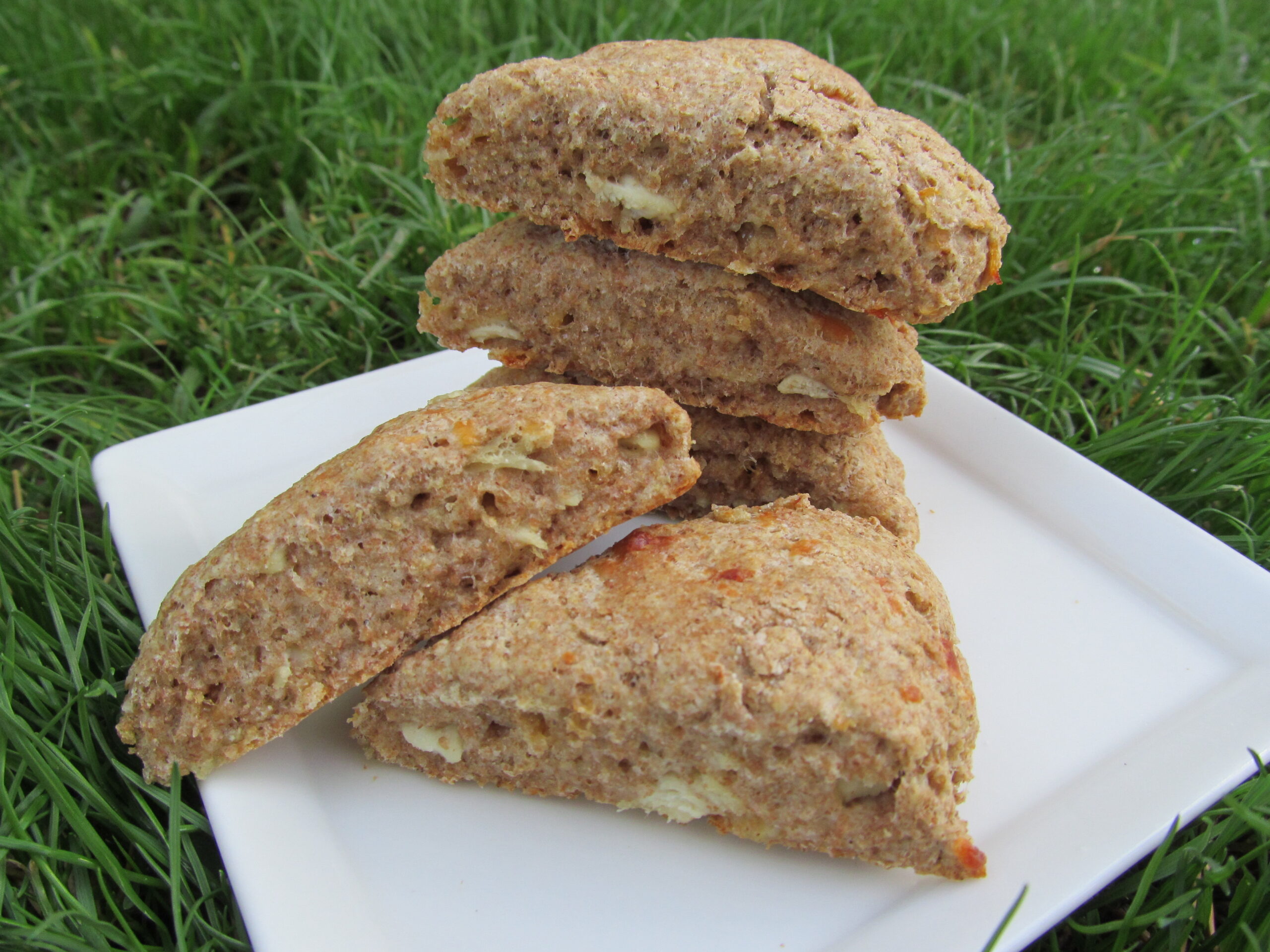 Cheesy Chicken Scones Dog Treat/Biscuit Recipe