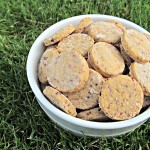 (gluten-free) apple cranberry dog treat/biscuit recipe