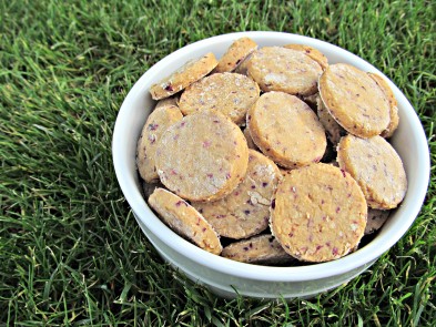 (gluten-free) apple cranberry dog treat/biscuit recipe