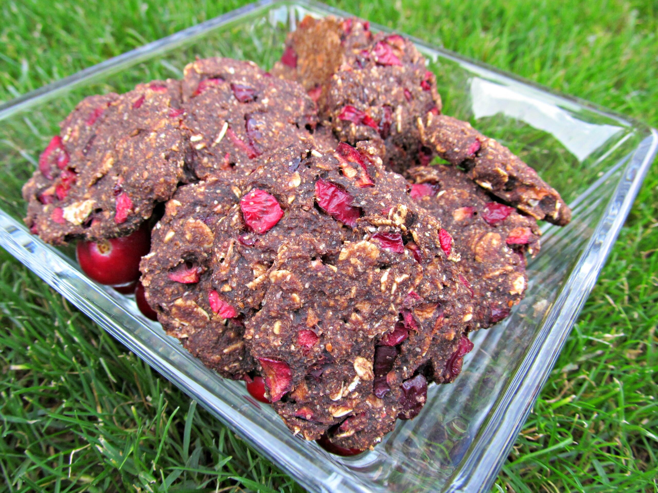 carob cranberry oatmeal dog treat/biscuit recipe