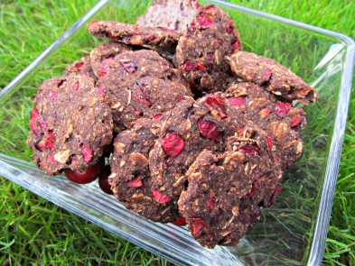 carob cranberry oatmeal dog treat/biscuit recipe