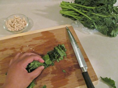 chicken kale dog treat/biscuit recipe