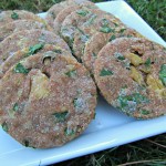 chicken kale dog treat/biscuit recipe